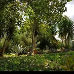 Salento Lapezzaaculuri * Guagnano