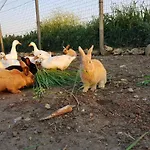 Βίλα Salento Lapezzaaculuri