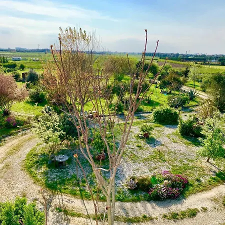 Salento Lapezzaaculuri Βίλα Guagnano