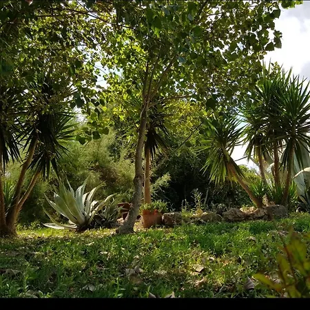 Salento Lapezzaaculuri * Guagnano