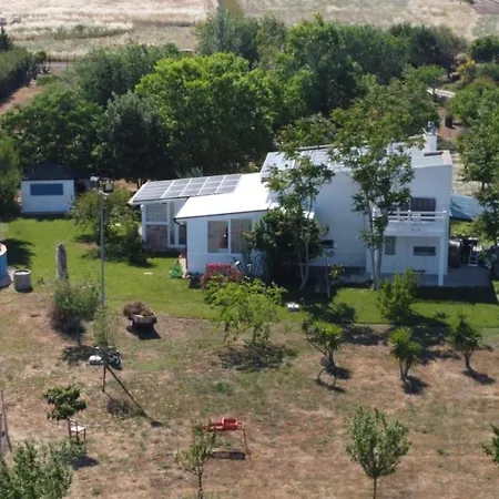 Salento Lapezzaaculuri Guagnano